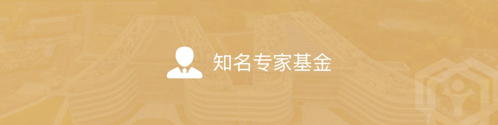 夯实理论根基