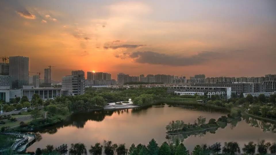 这个夏天