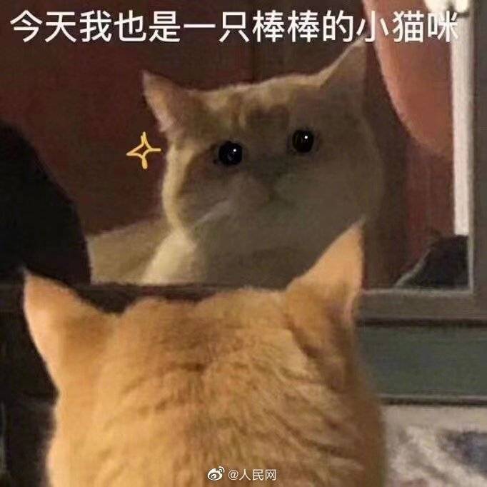 这是一场集结智慧与策略的对决
