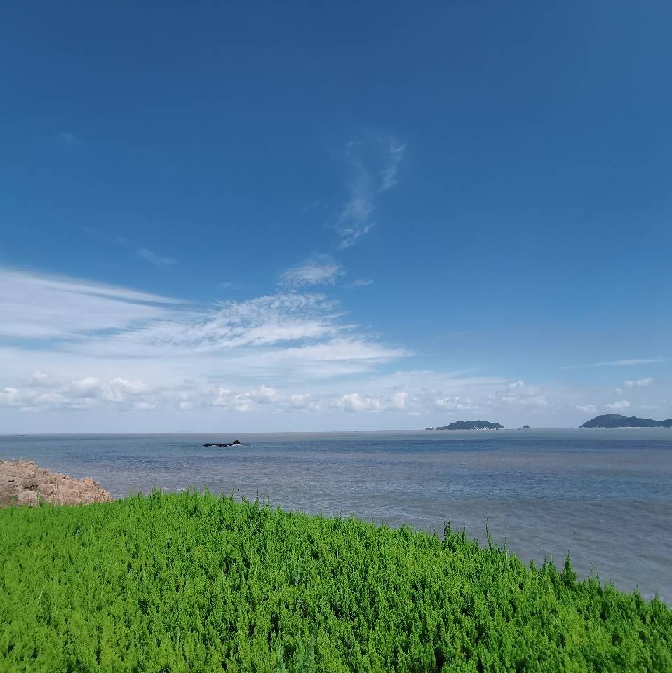 一、 报名方法：