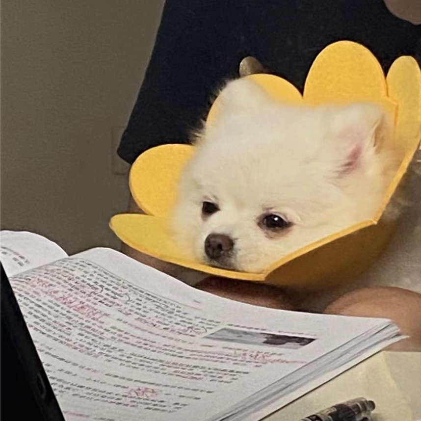 关注创新药研发生产一体化