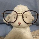 后续所有活动安排