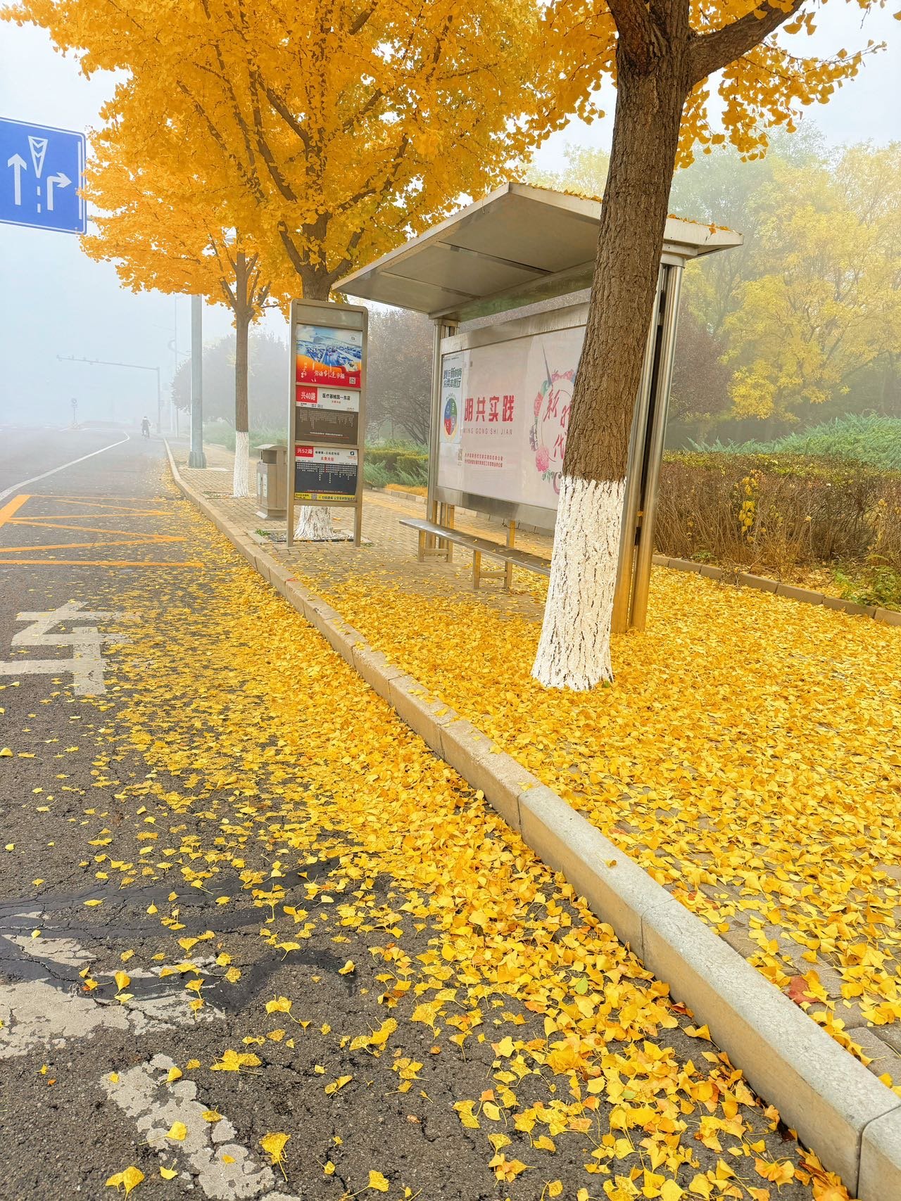 乐禧棋牌平台